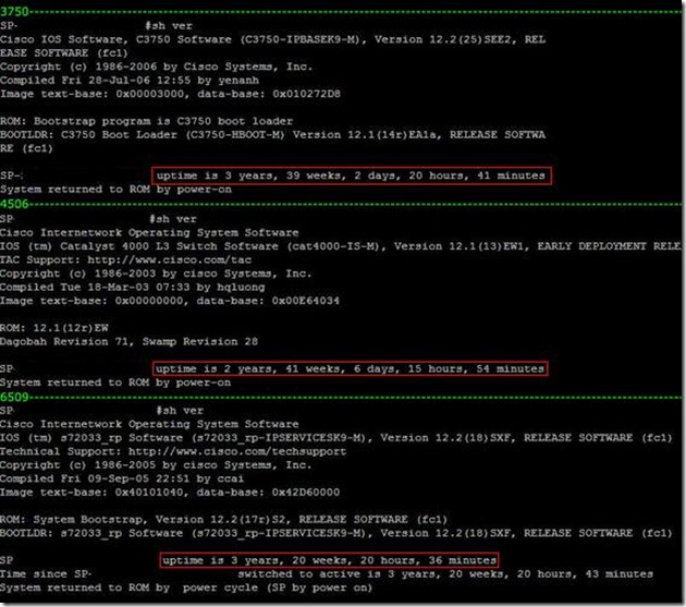 Uptime