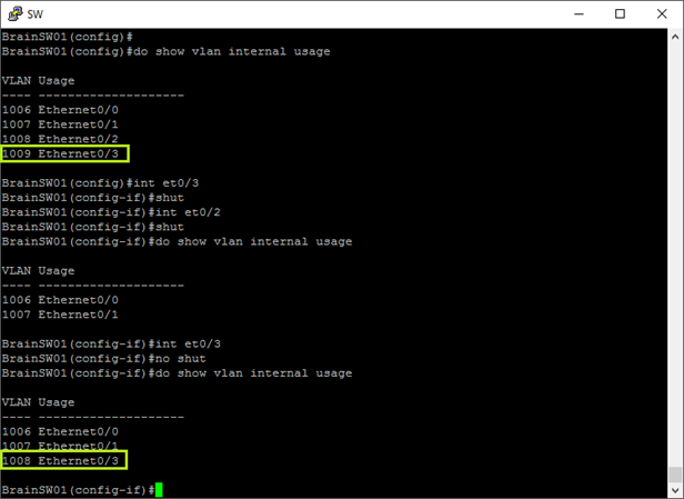 Internal VLAN Usage