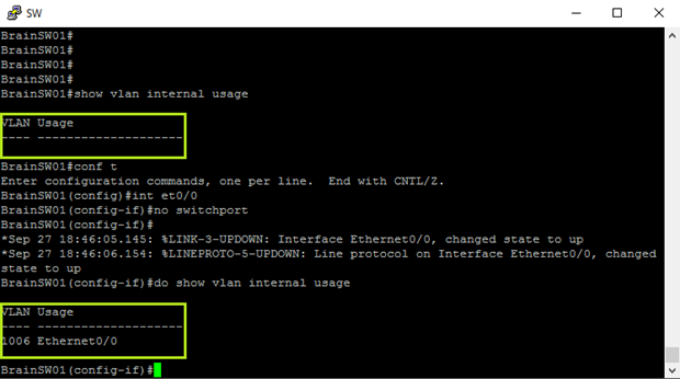 Internal VLAN Usage