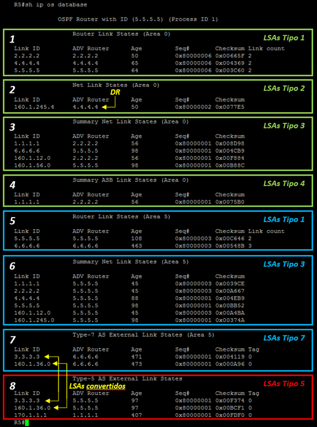 Show ip ospf database