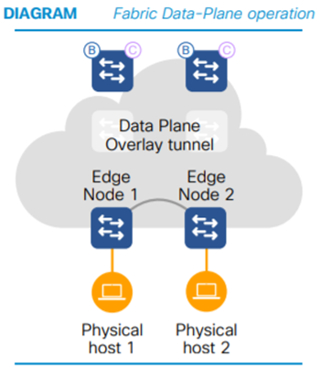 SDA Data Plane
